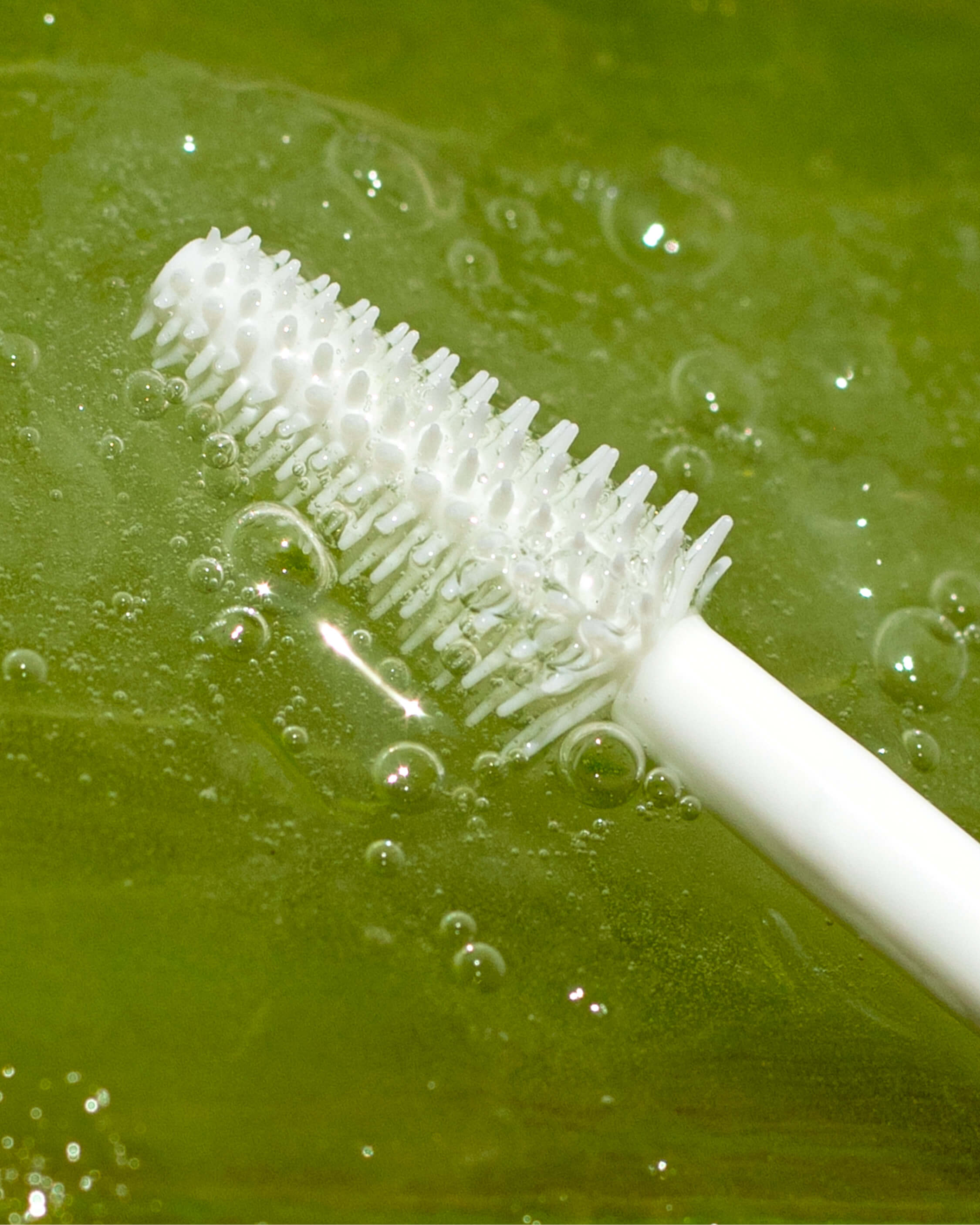 Organic aloe gel lash & brow mascara bottle dipping in star ingredient: aloe