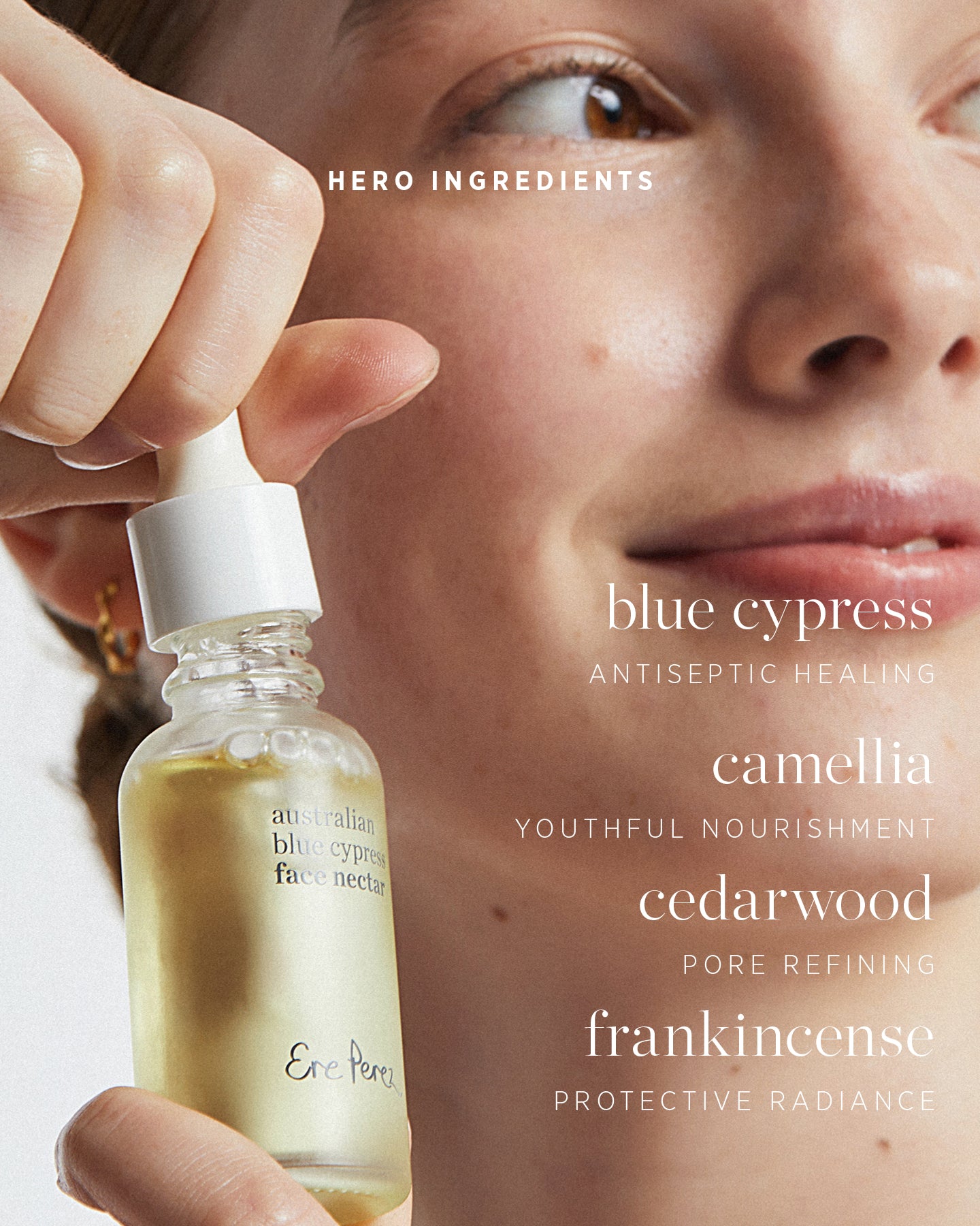 australian blue cypress face nectar