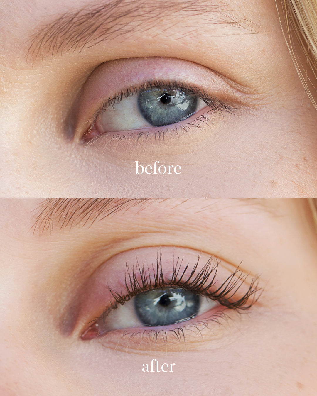 Comparison after usage of avocado waterproof mascara by Ere Perez for long nourished lashes