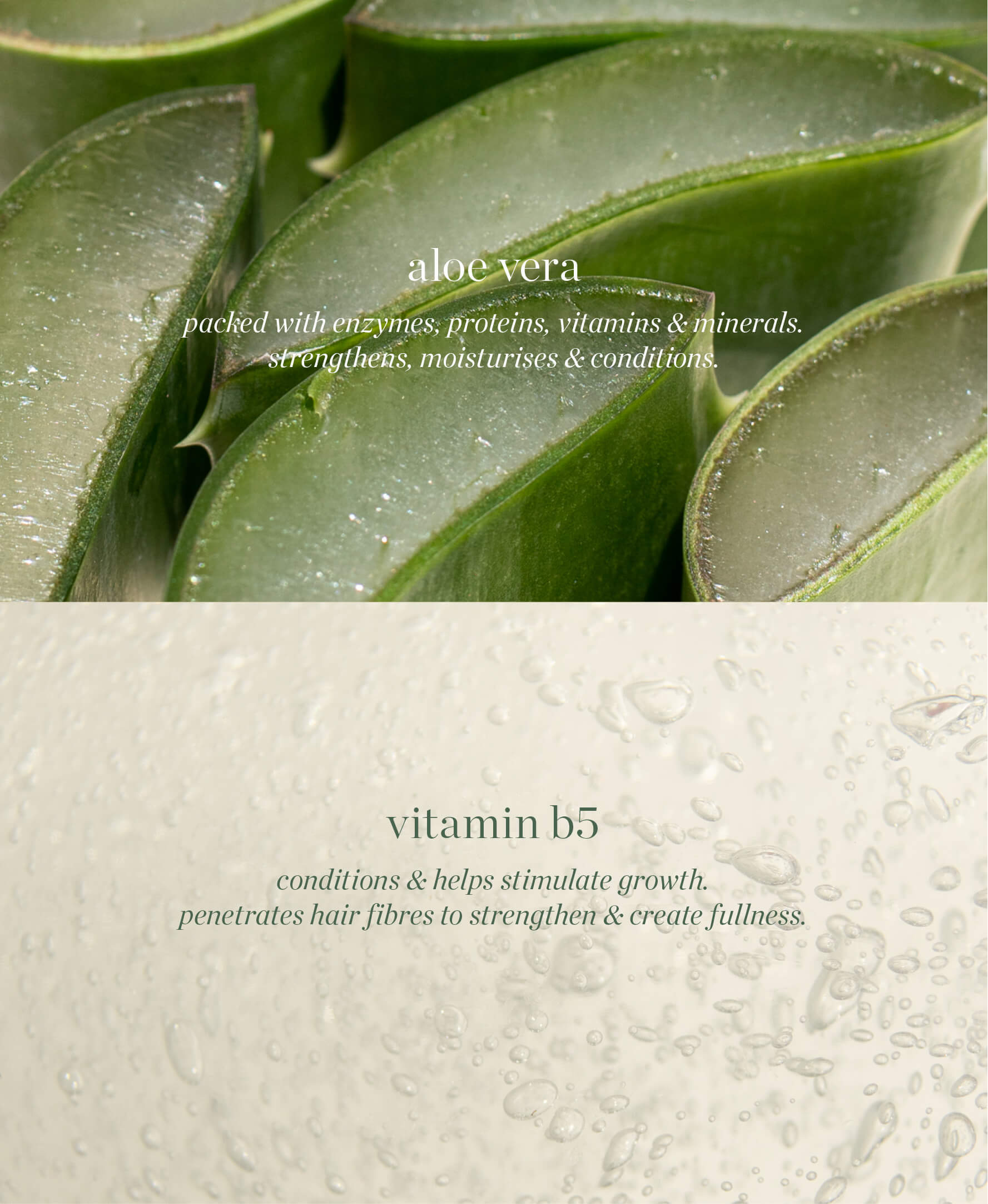 all-natural main ingredients of aloe gel lash & brow mascara by Ere Perez and their benefits