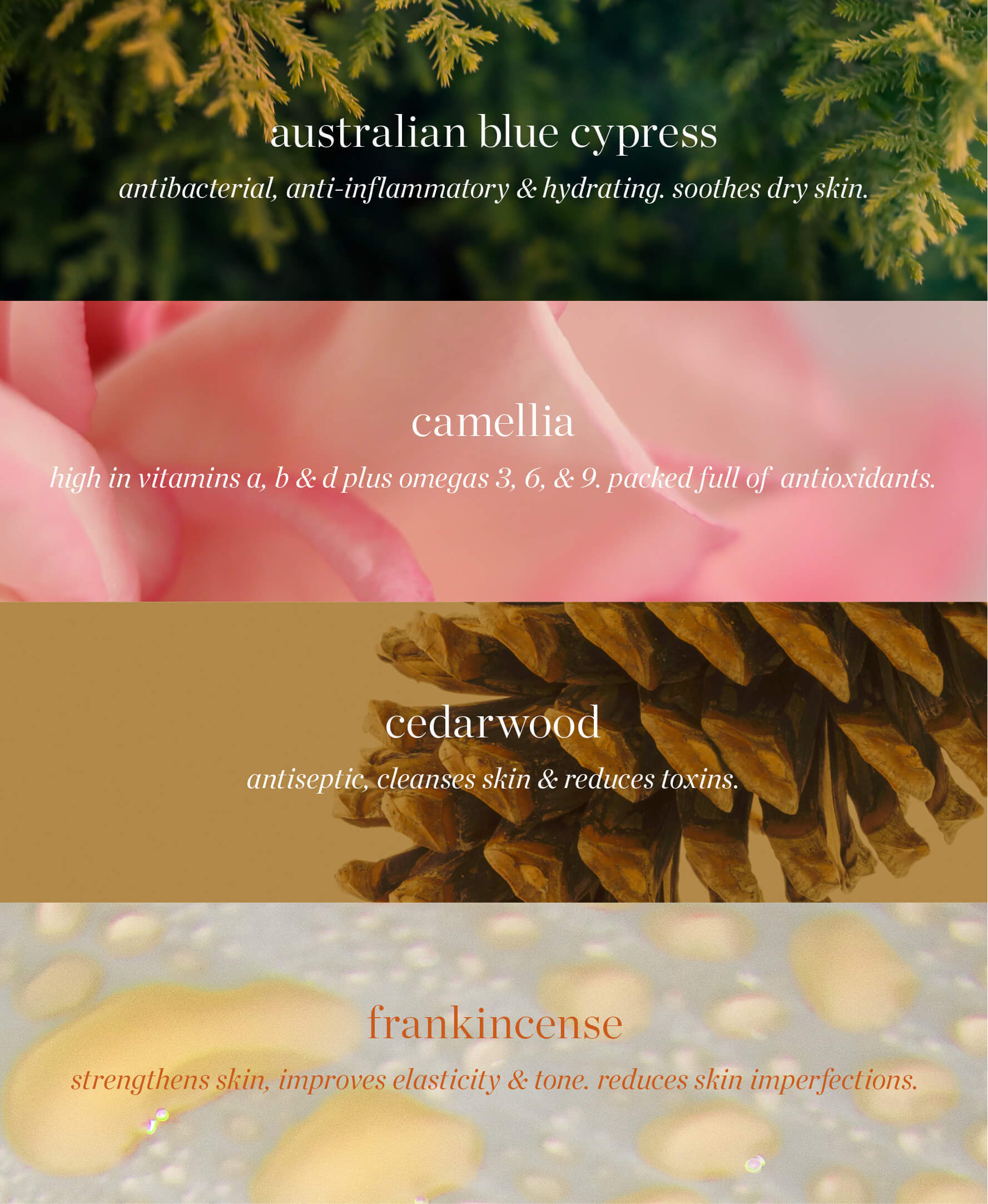 all-natural main ingredients in australian blue cypress face nectar Ere Perez and their benefits