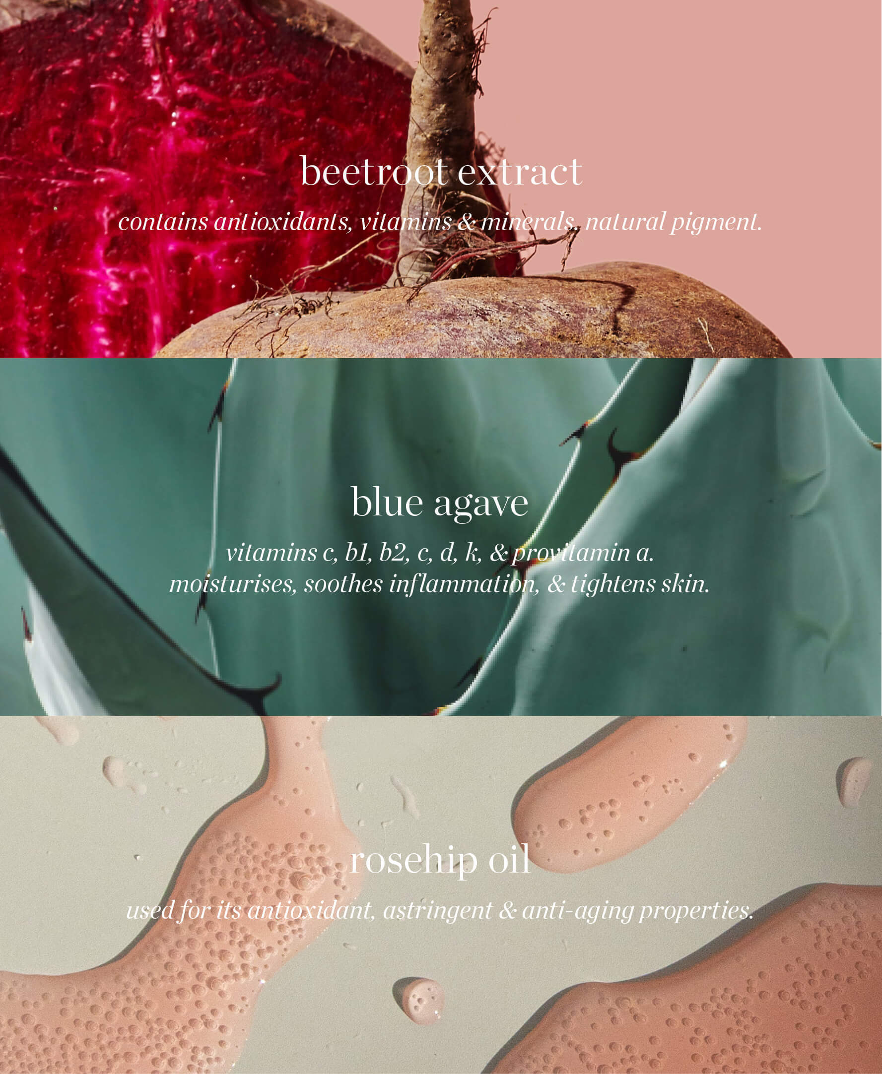 All-natural main ingredients in Ere Perez natural beetroot cheek & lip tint and their benefits