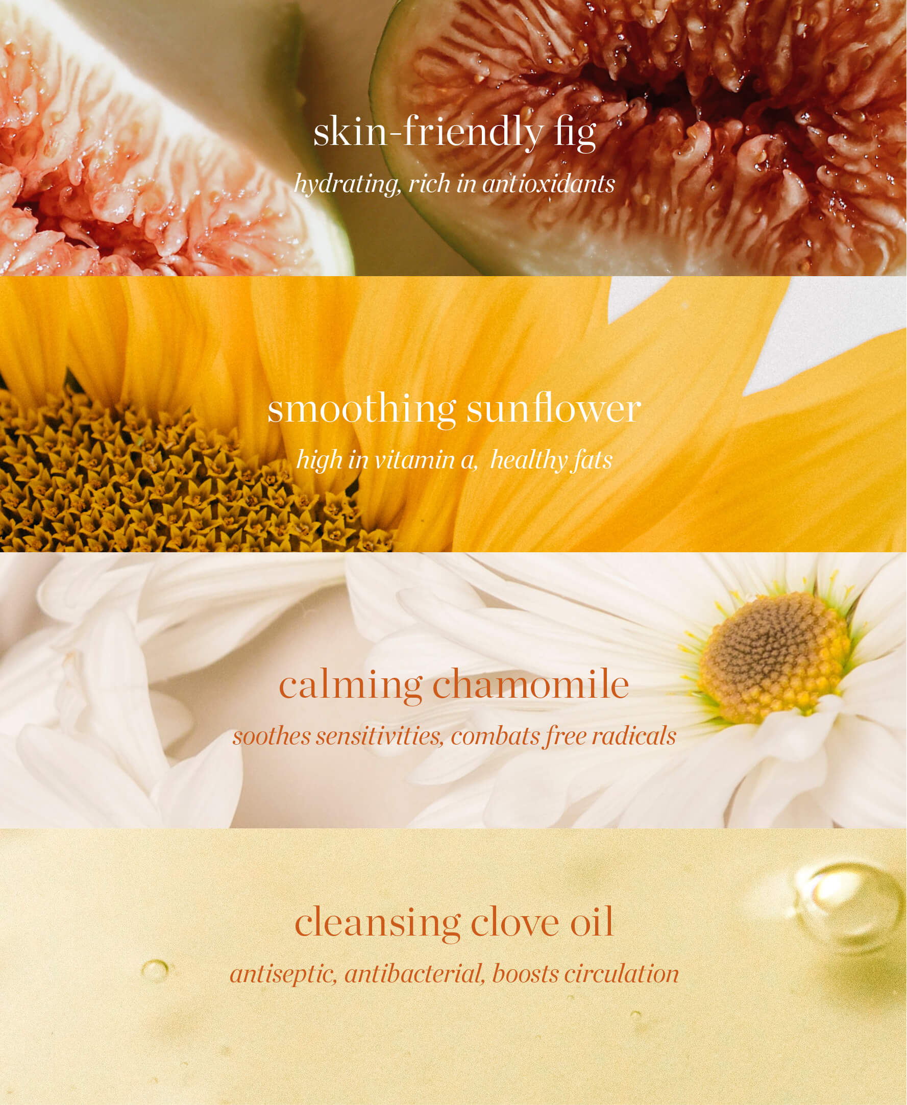 all-natural main ingredient in fig all-beauty jelly by Ere Perez and their benefits