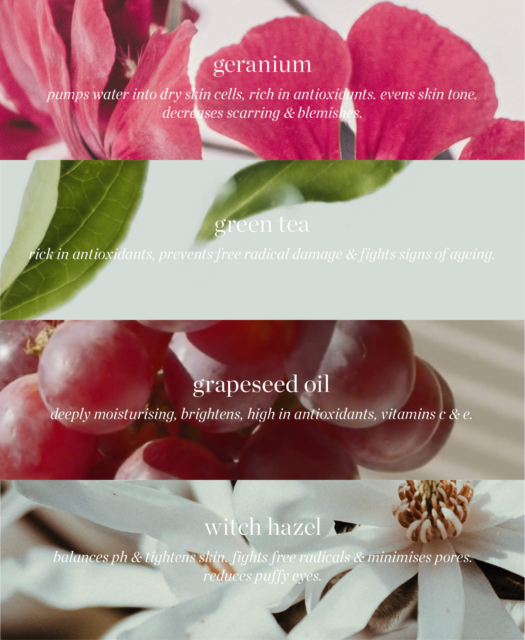 all natural main ingredients in herbal face tonic Ere Perez and their benefits