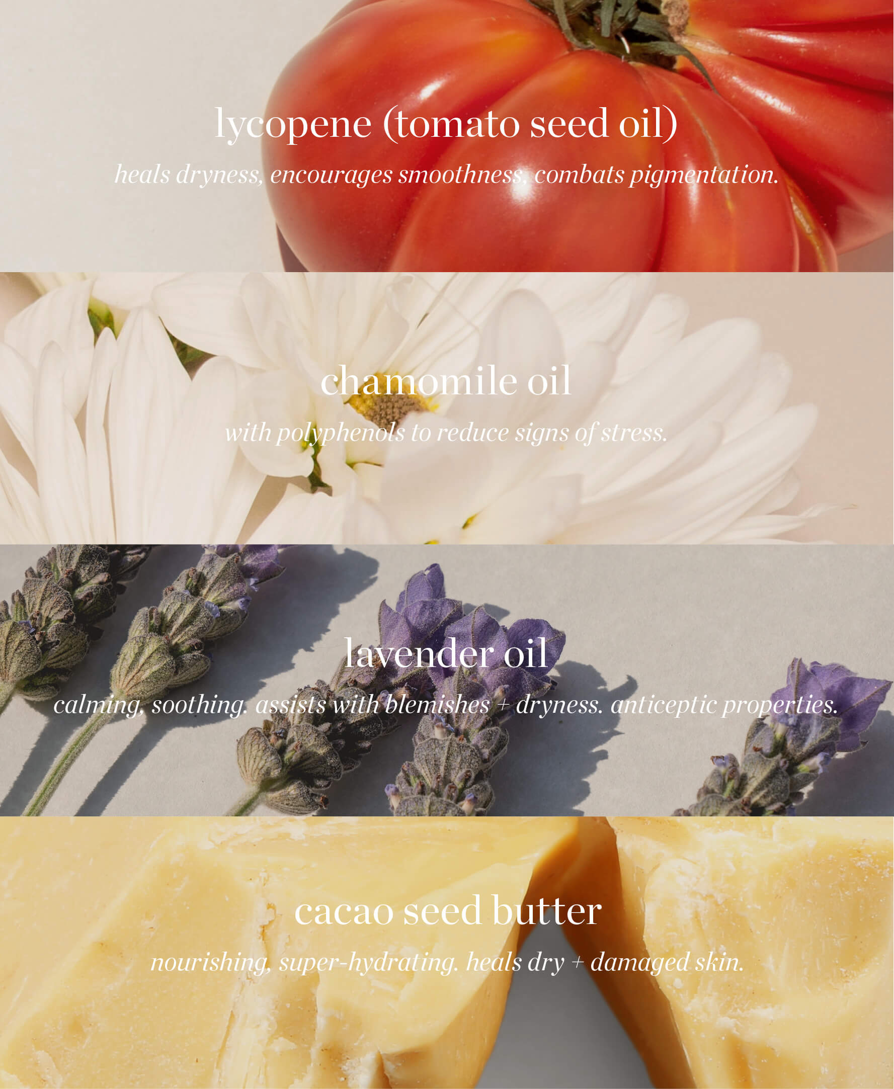 all-natural main ingredients wild tomato riche crème Ere Perez and their benefits