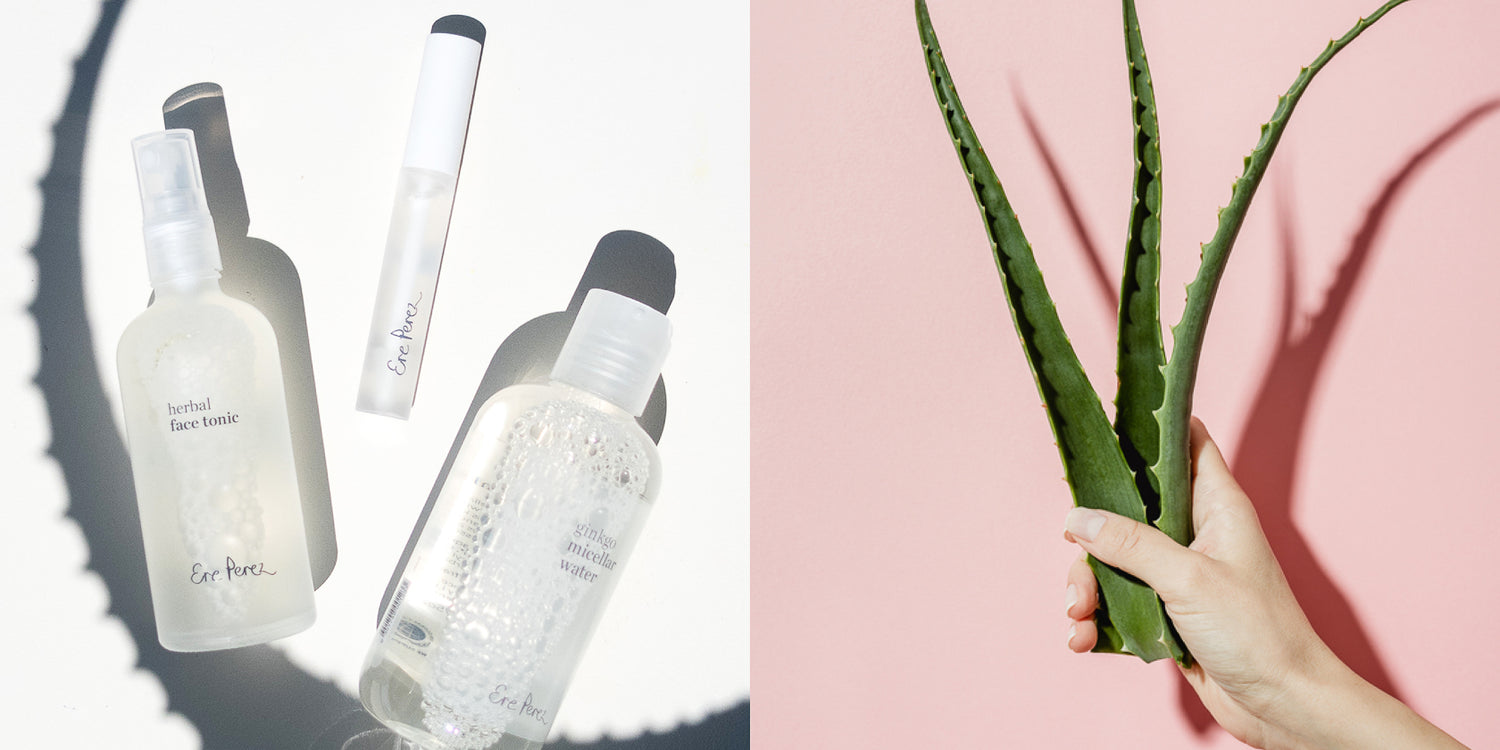 why aloe vera is essential in your skincare routine