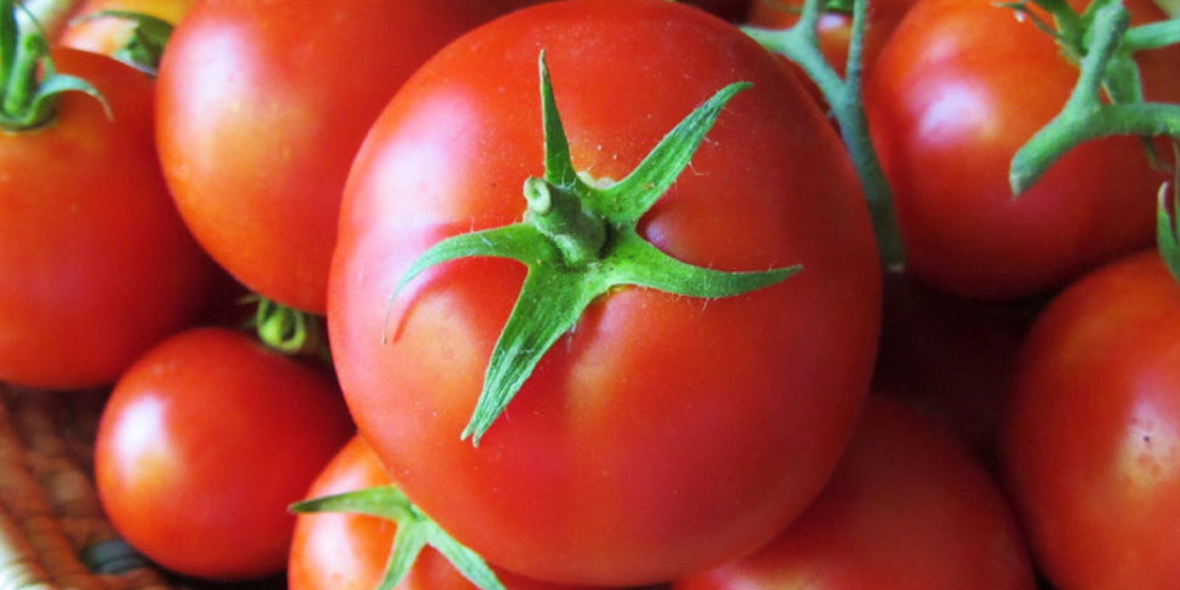 Love tomatoes: nature's anti-ageing weapons