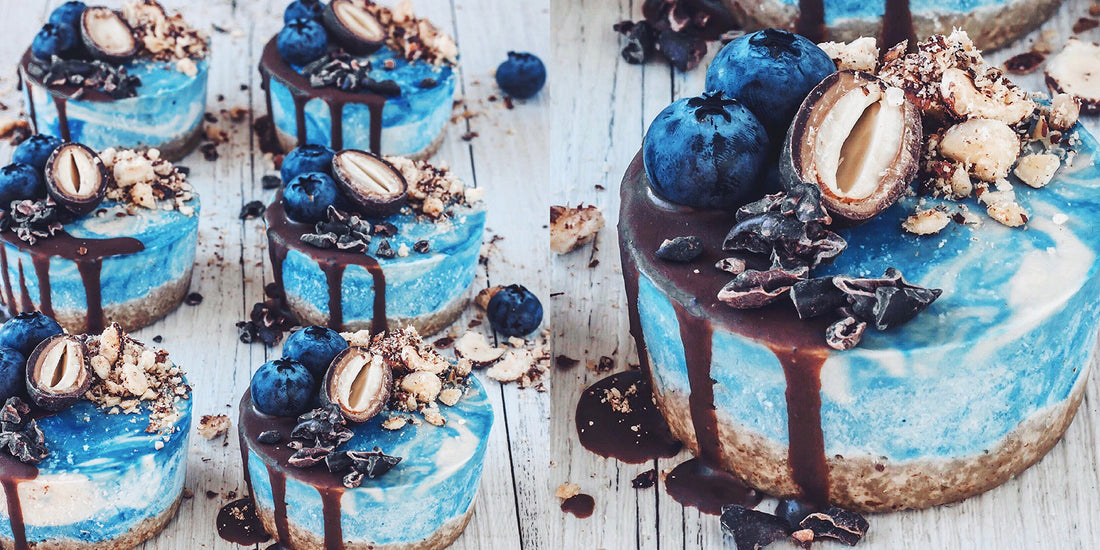 vegan ocean cheesecakes