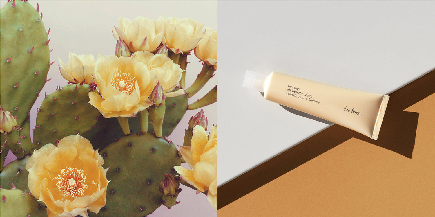 prickly pear: glow-boosting skincare