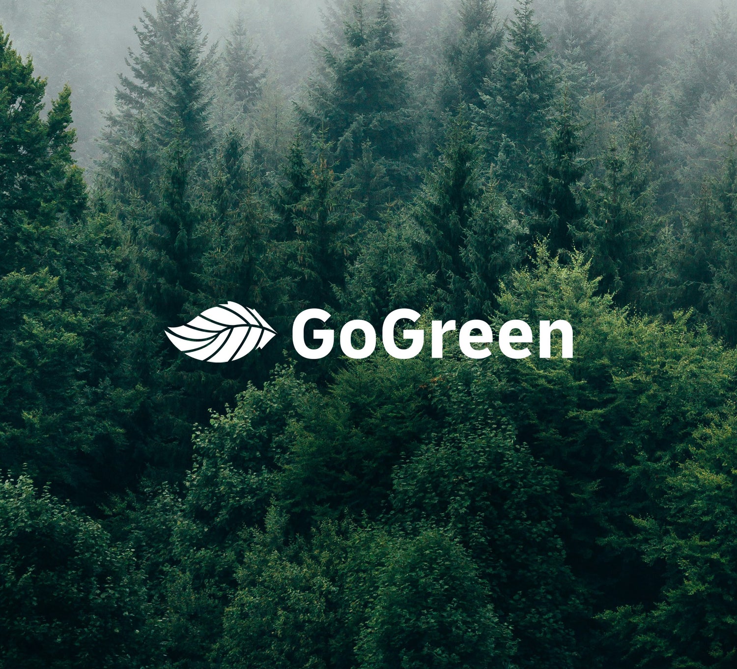 Ere Perez DHL Go Green Initiative 