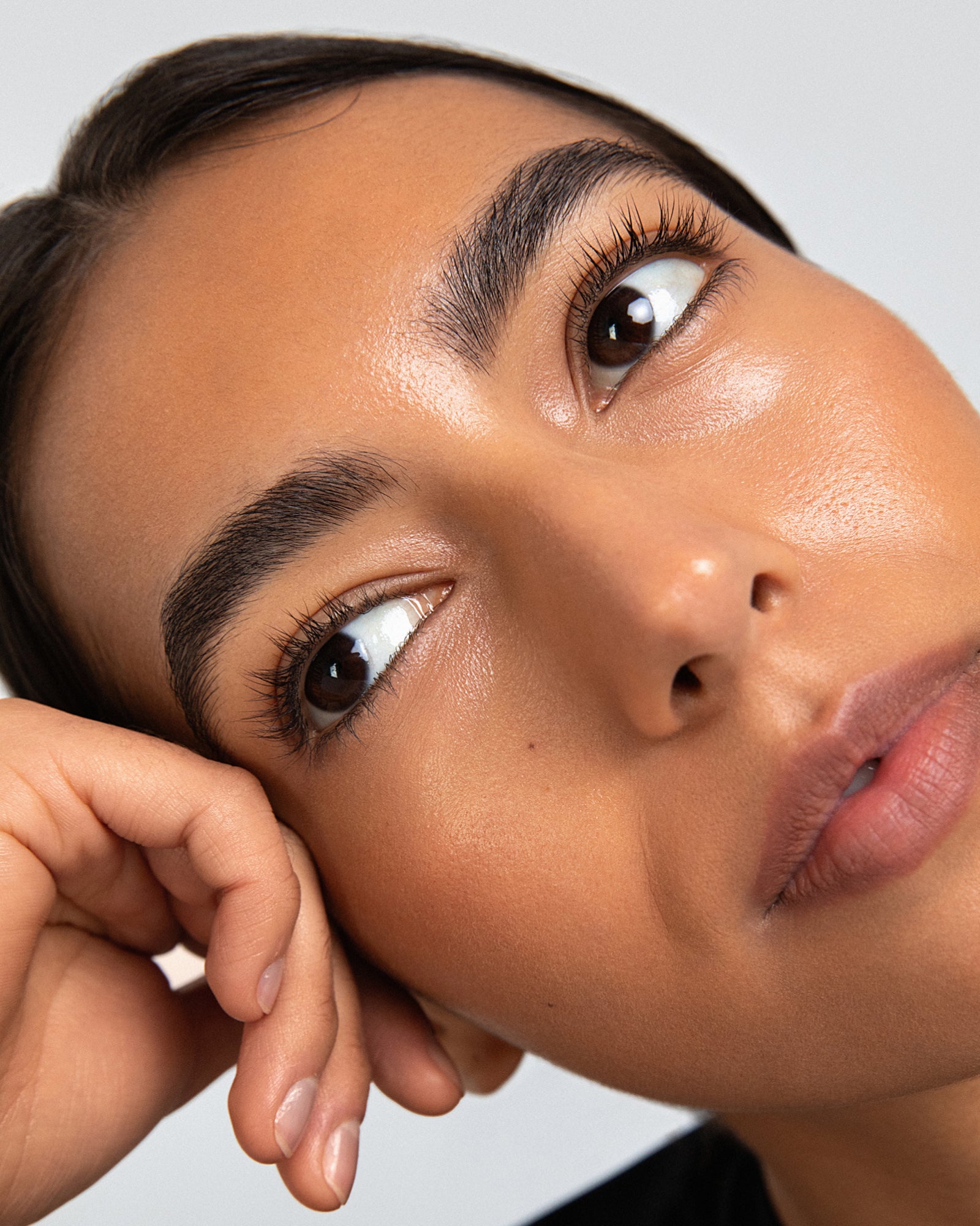 brow lover bundle