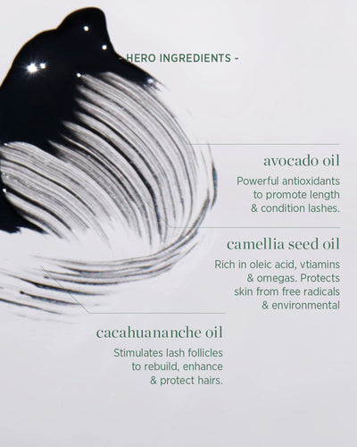 All-natural hero ingredients of Ere Perez waterproof mascara and their benefits 