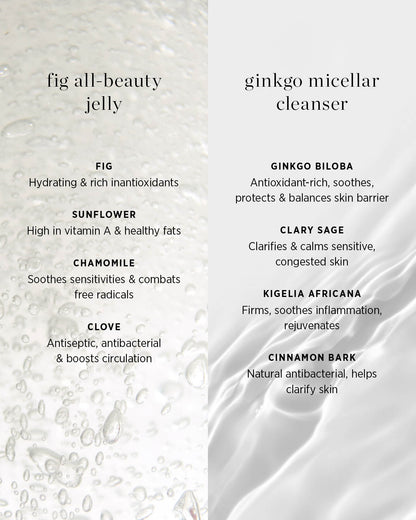 double cleanse duo
