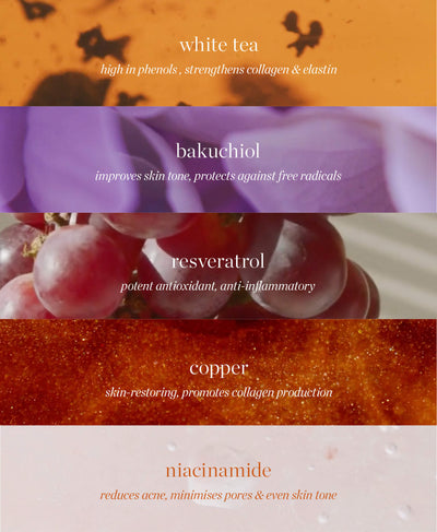 all-natural main ingredients in white tea phyto-retinol elixir by Ere Perez and their main benefits | 