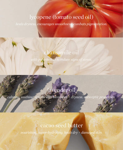 all-natural main ingredients wild tomato riche crème Ere Perez and their benefits