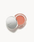 Carrot Color Pot in a silver container on a white background 
