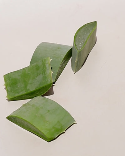 Organic aloe gel lash &amp; brow mascara bottle and star ingredient aloe